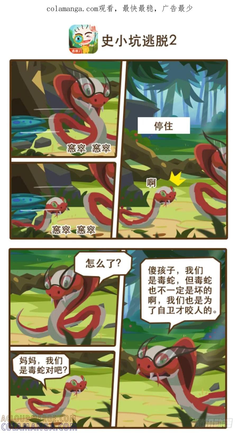 《史小坑漫画》毒蛇最怕的是什么？ 第1页