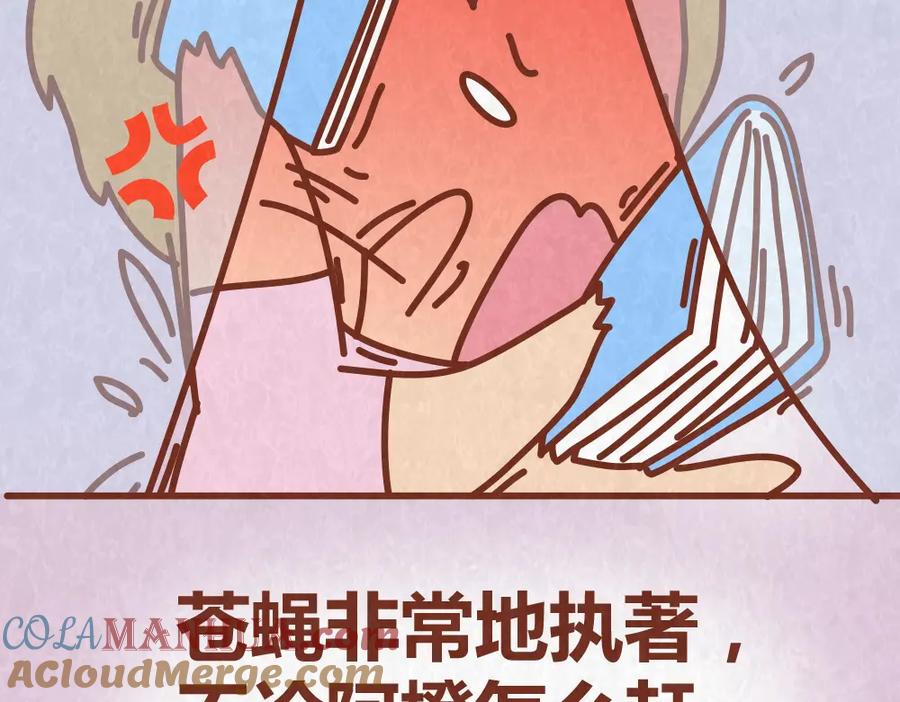 《全世爱》第52话 单身狗的超强愤怒 第13页