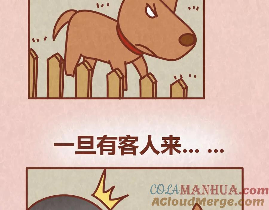 《全世爱》第54话 宠物和女婿，丈母娘选哪个？ 第19页