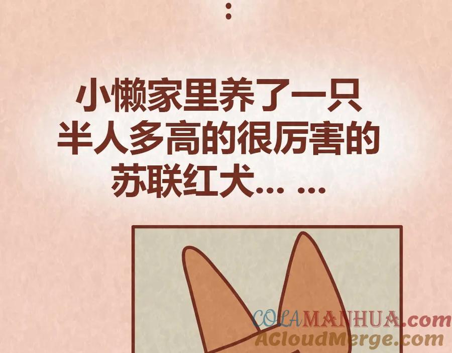 《全世爱》第54话 宠物和女婿，丈母娘选哪个？ 第17页