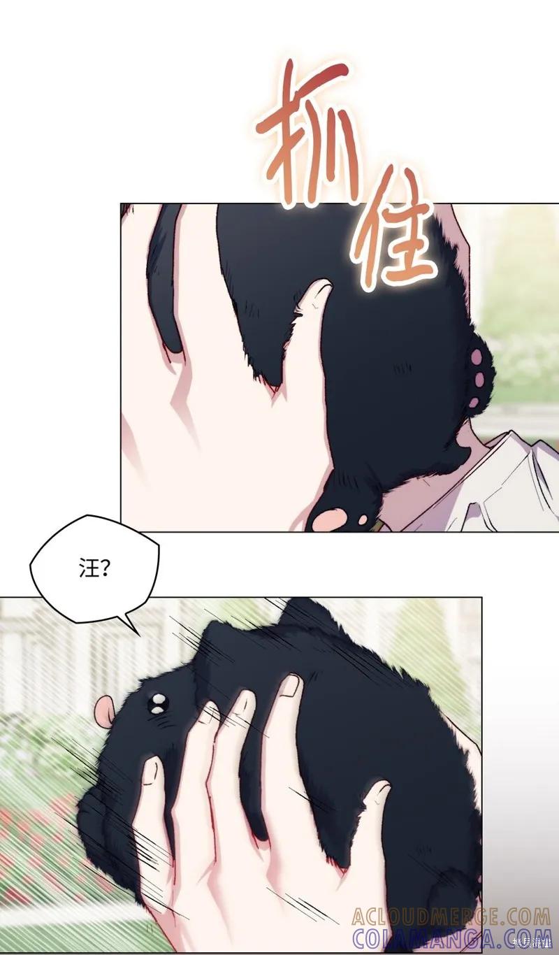 《今生我会好好照顾陛下》第88话 第37页
