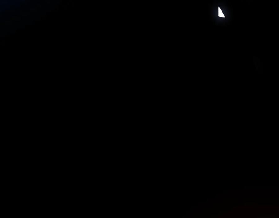 《师尊：这个冲师逆徒才不是圣子》第118话 小猫咪怎会有坏心思 第56页