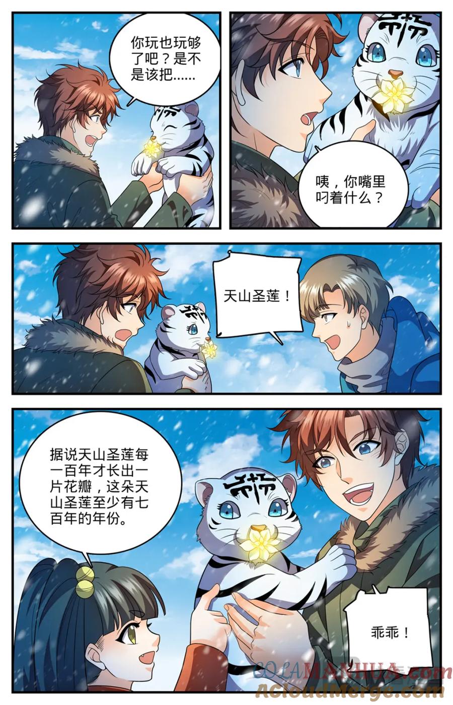 全职法师 1088 七百年天山圣莲 第11页