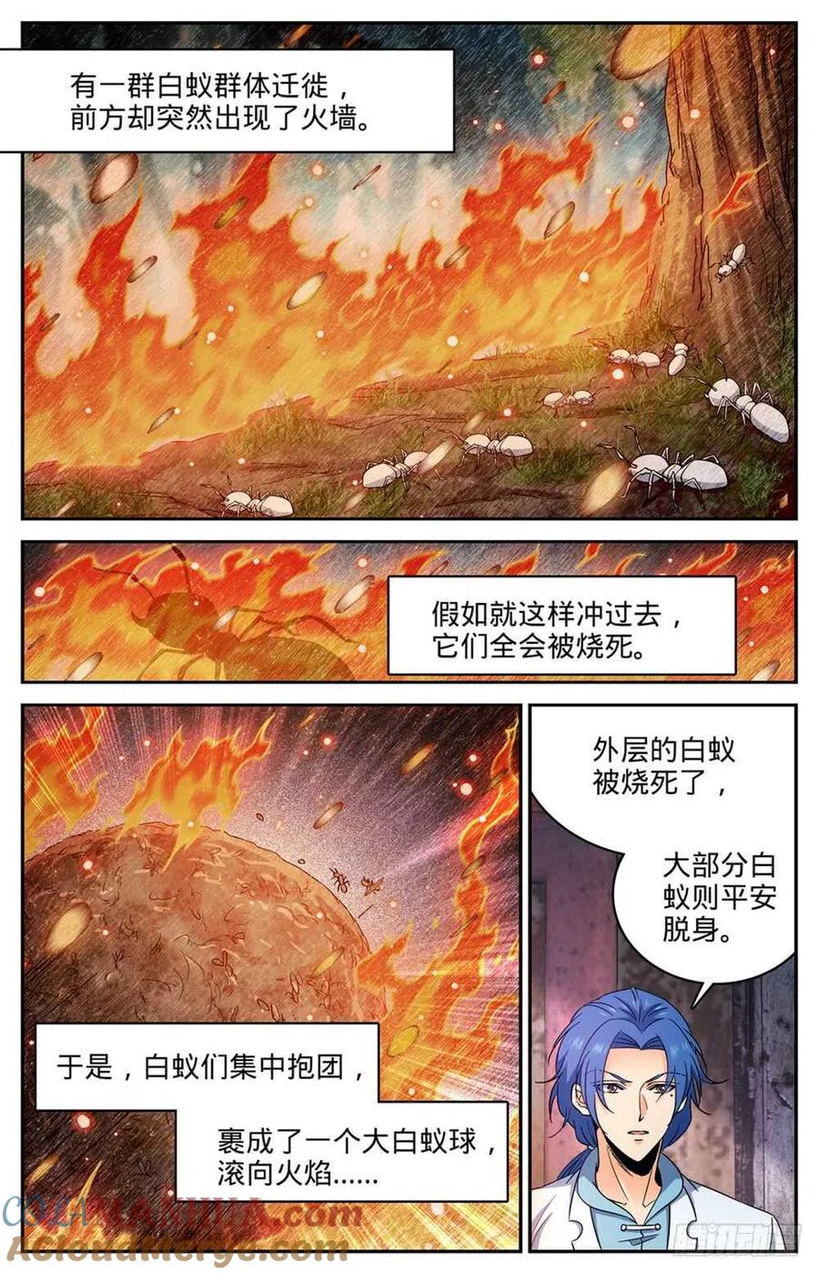全职法师 第411话 白蚁求生 第5页