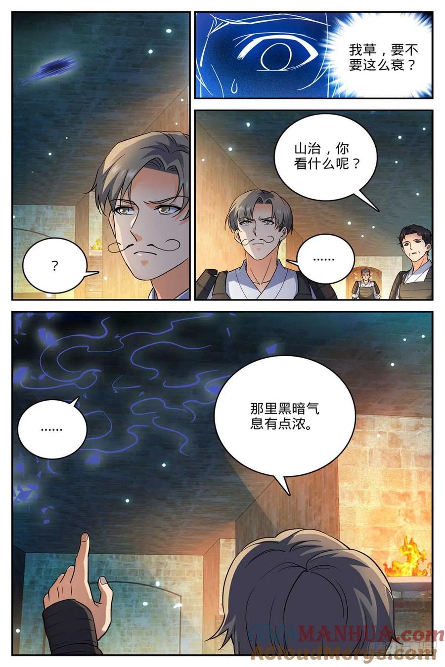 全职法师 第501话 一蒂双花 第12页