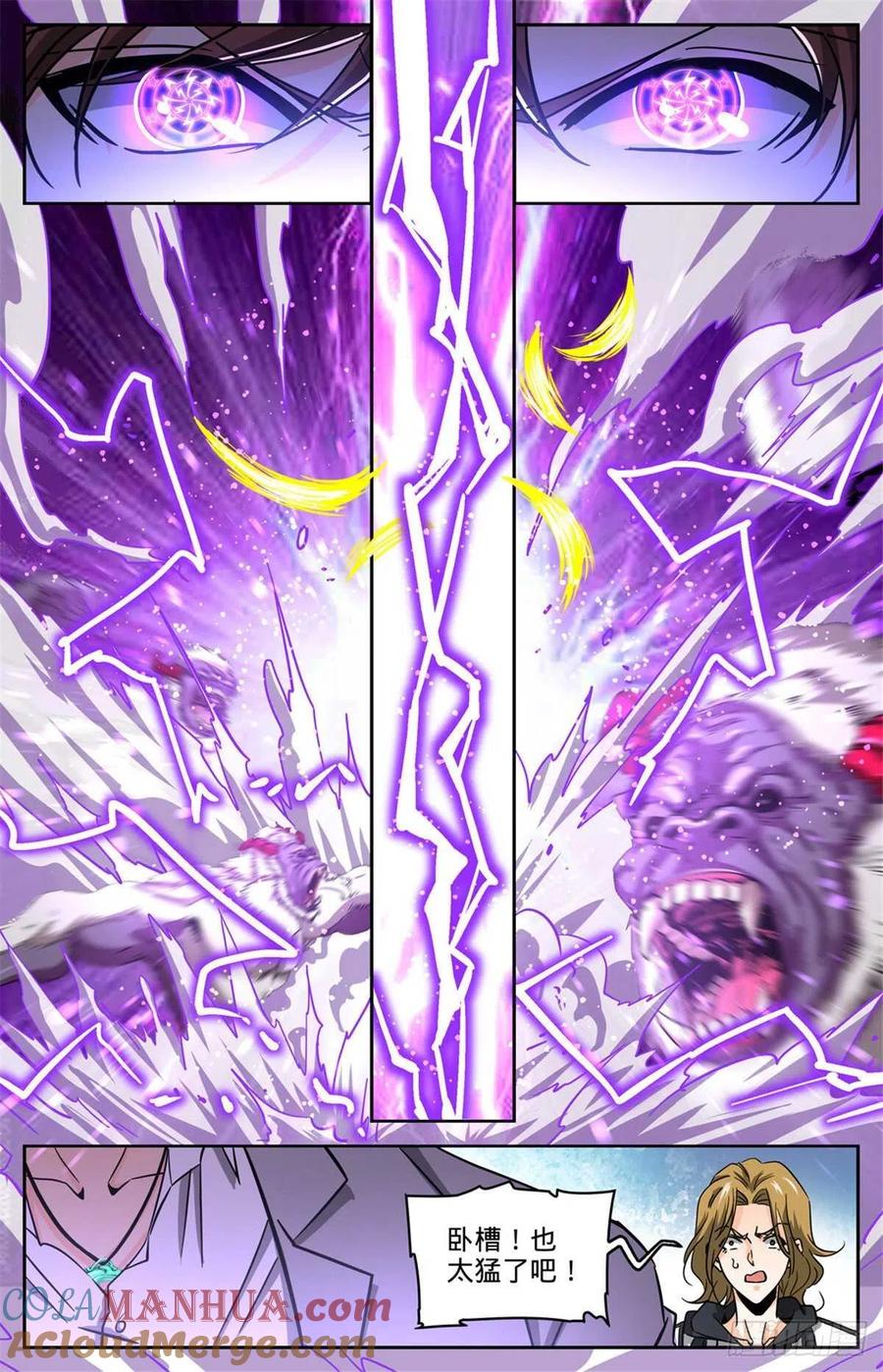 全职法师 第611话 大赌注！ 第13页