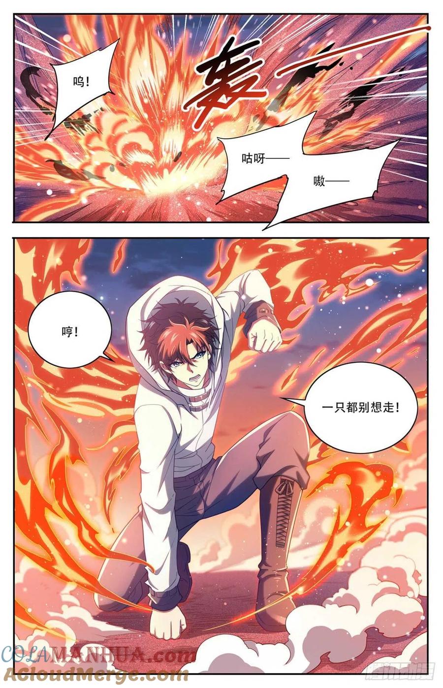 全职法师 第658话 遁影·影鸟 第13页