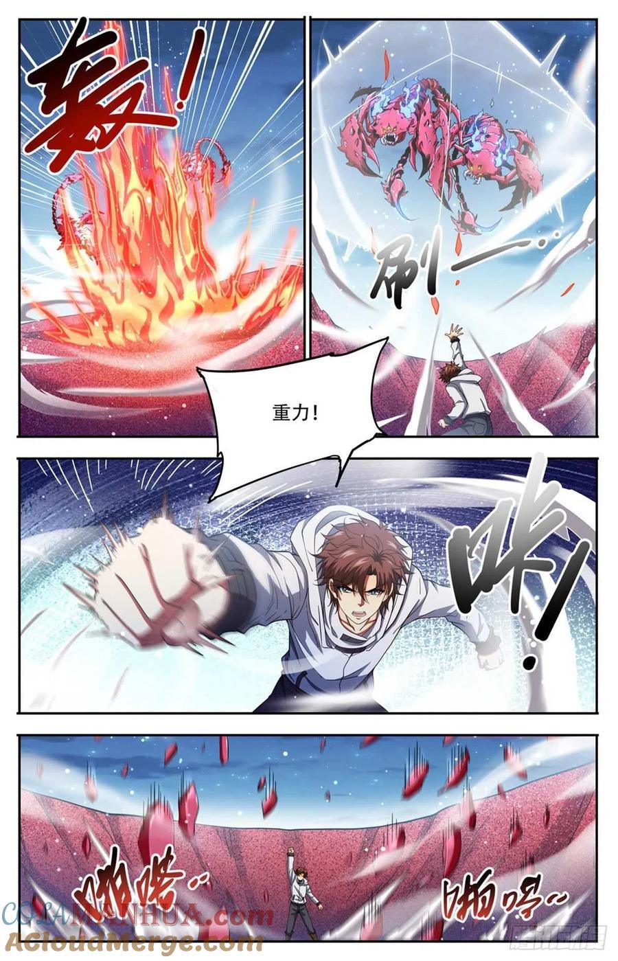 全职法师 第658话 遁影·影鸟 第5页
