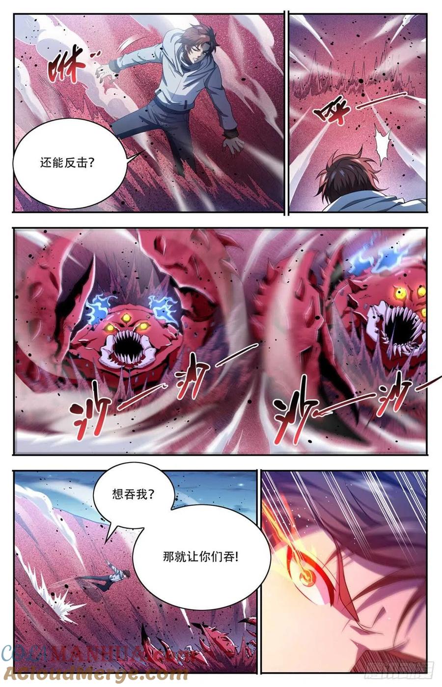 全职法师 第658话 遁影·影鸟 第4页