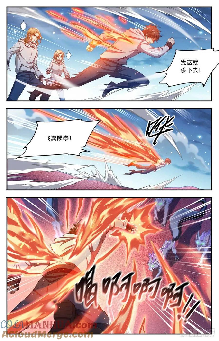 全职法师 第658话 遁影·影鸟 第12页