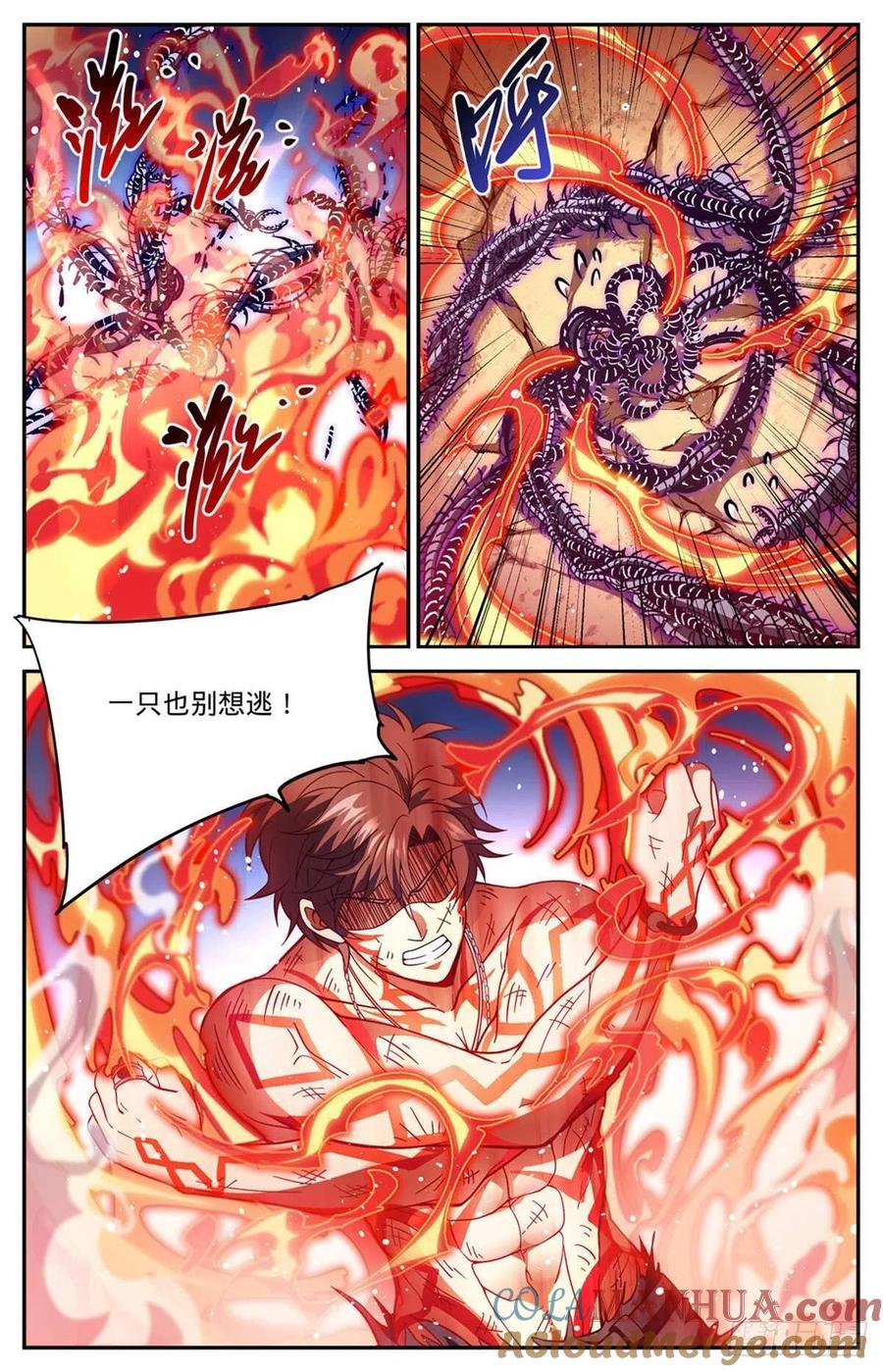 全职法师 第670话 嬴了战役 第5页