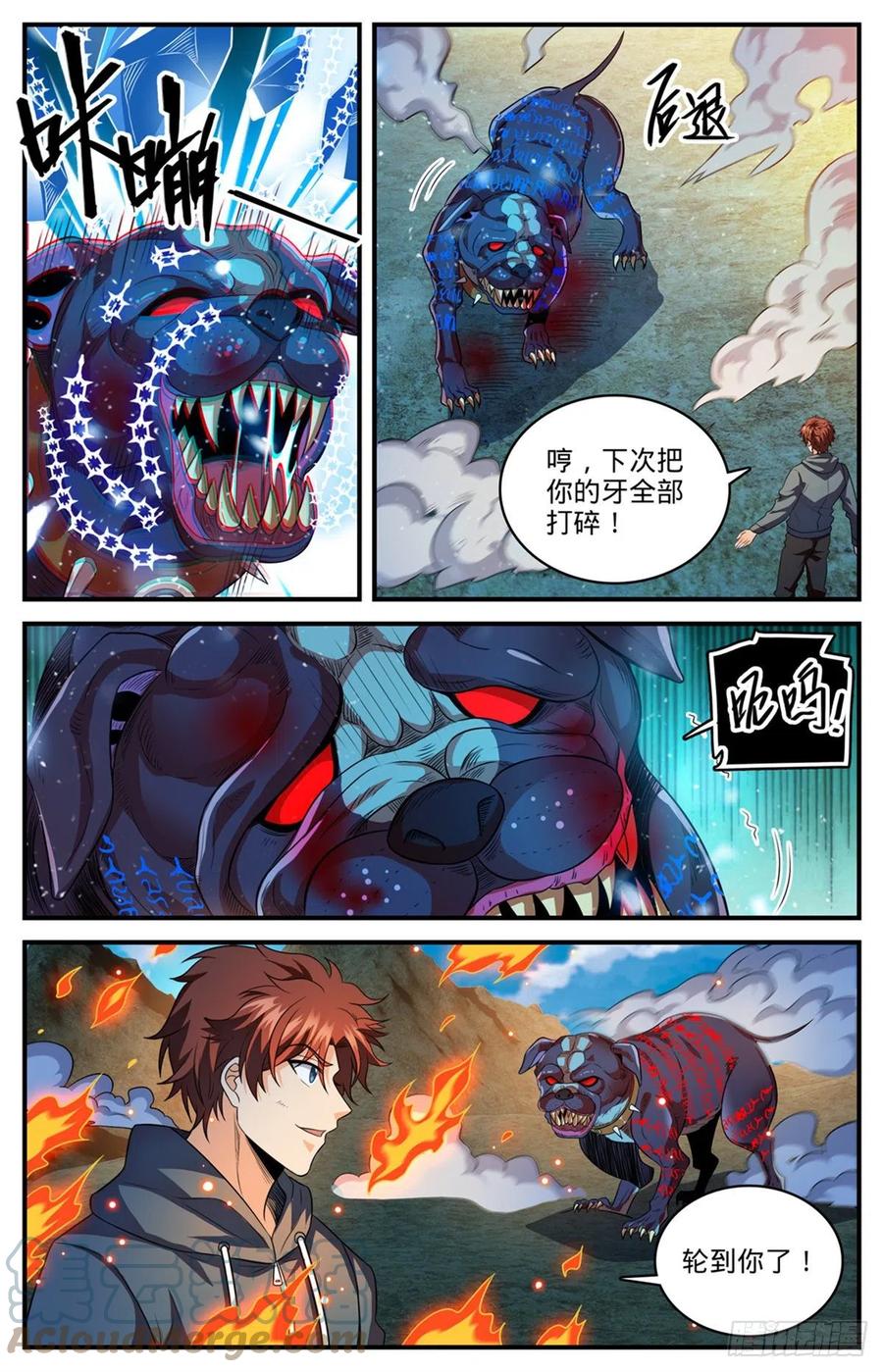 全职法师 808 大败犬男 第4页