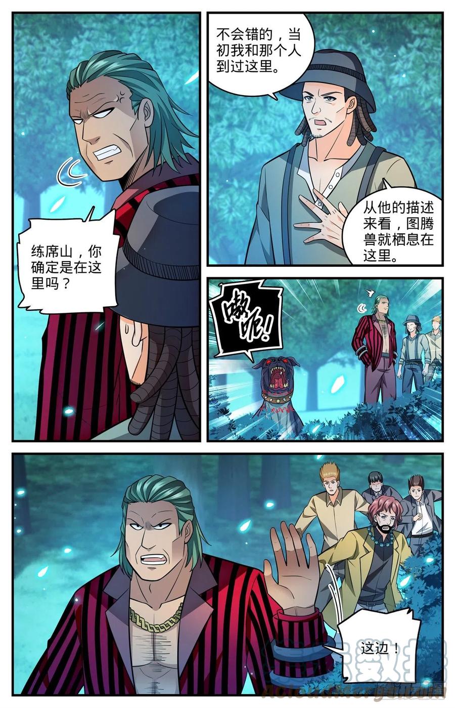 全职法师 810 图腾兽，霸下 第11页