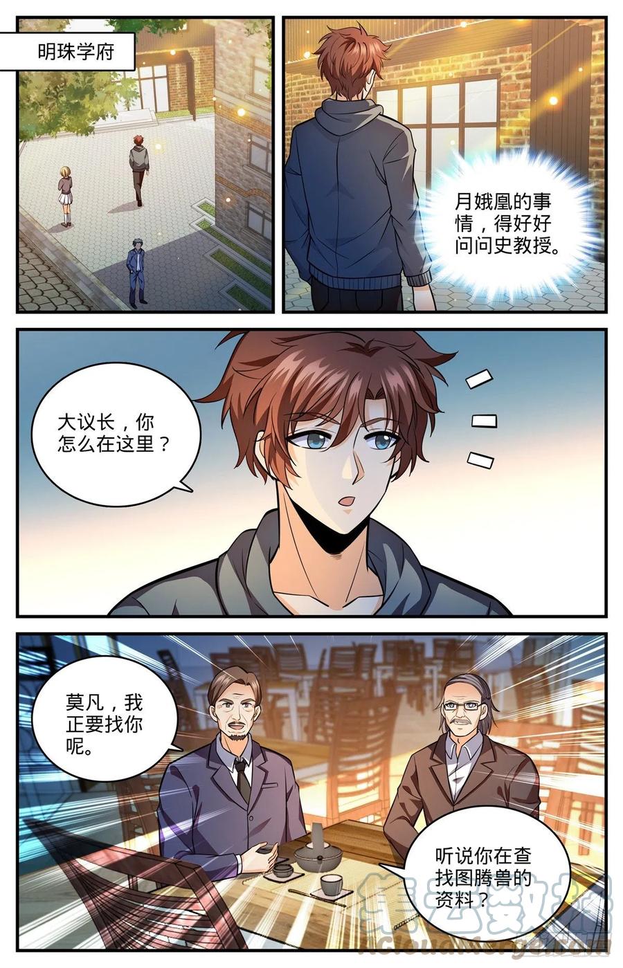 全职法师 810 图腾兽，霸下 第2页