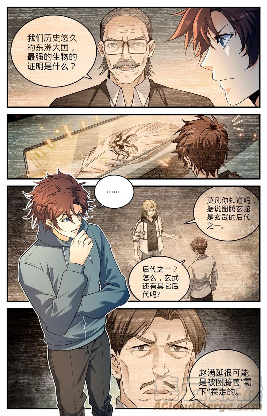 全职法师 813 吻合的图腾 第10页