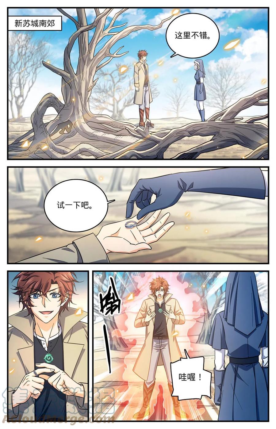 全职法师 910 魔媒戒 第10页