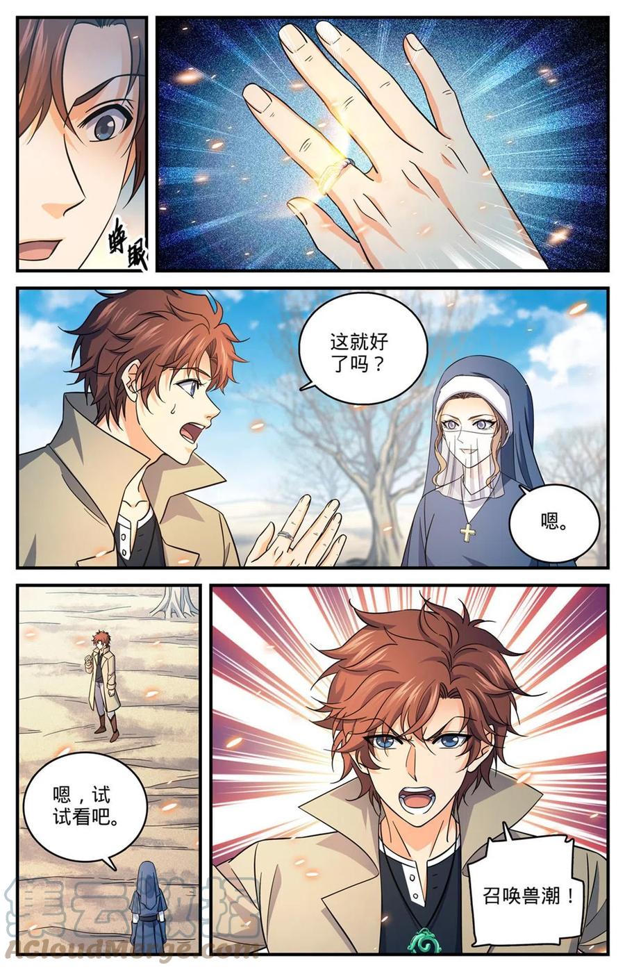 全职法师 910 魔媒戒 第12页