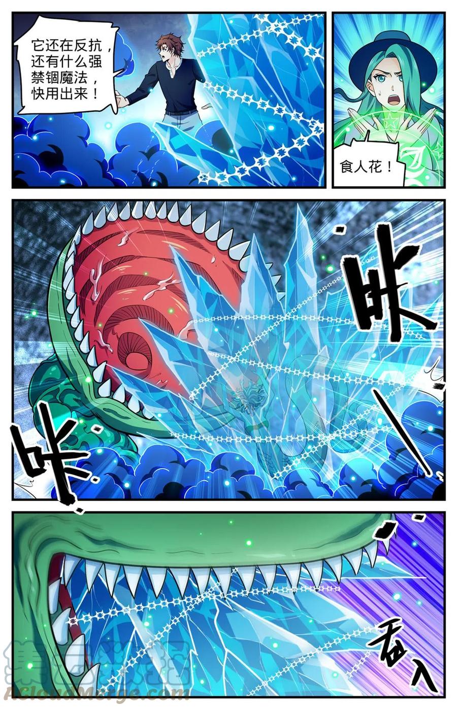 全职法师 929 抓捕行动！ 第13页
