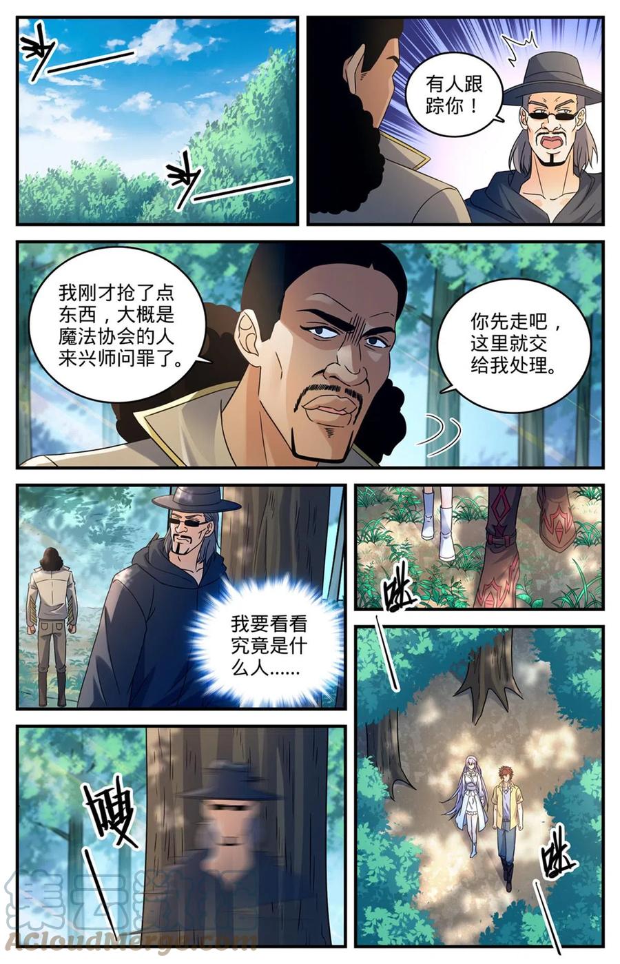 全职法师 965 歹郎公会 第12页