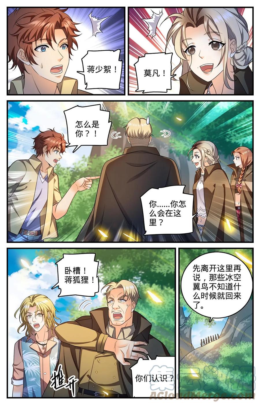 全职法师 982 救的人是老熟人 第8页