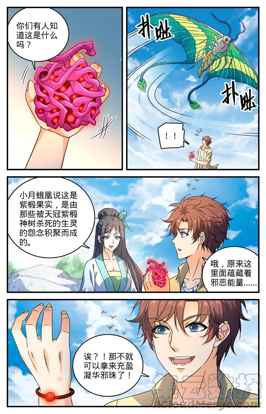 全职法师 985 羽族盛典 第2页