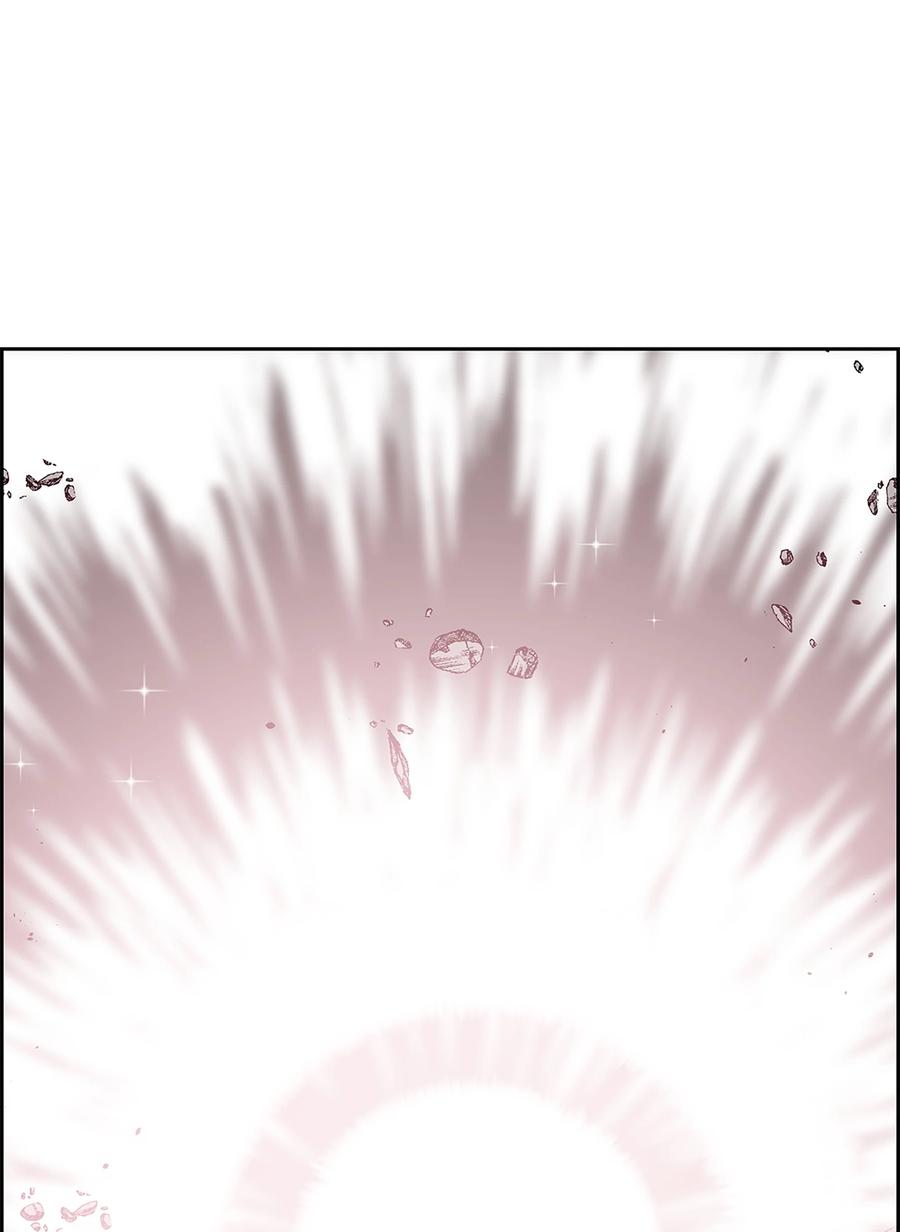 《全职猎魔团》91 尘埃落定 第38页