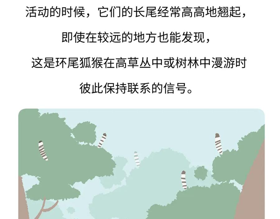 《胖达x胖达》第266话 第32页
