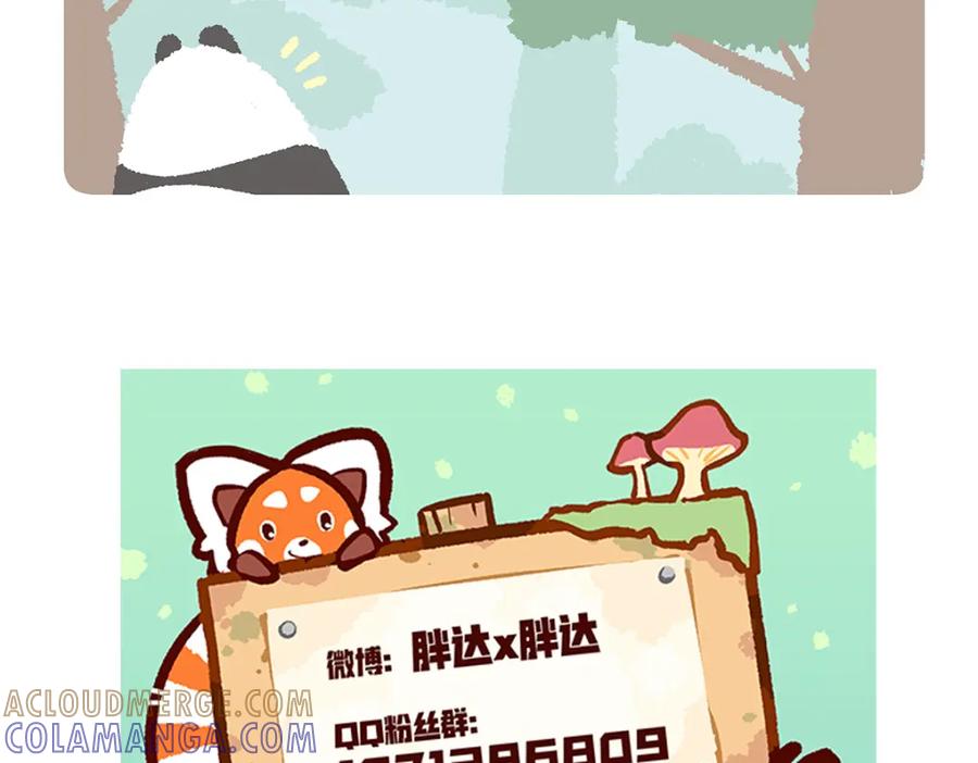 《胖达x胖达》第266话 第33页