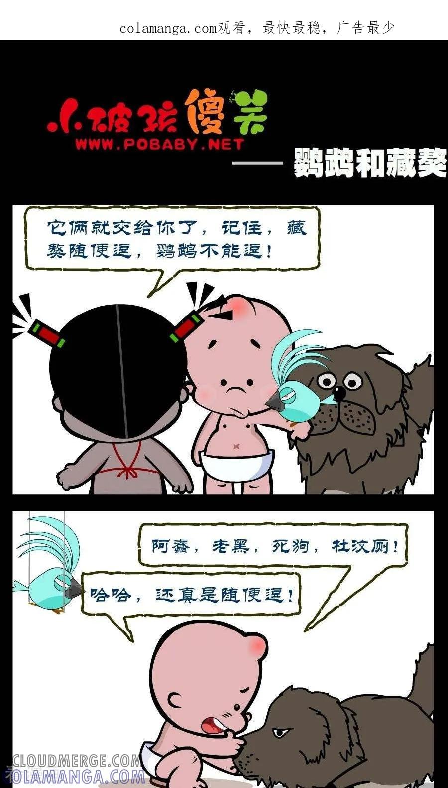 《小破孩傻笑》第327话 鹦鹉和藏獒 第1页