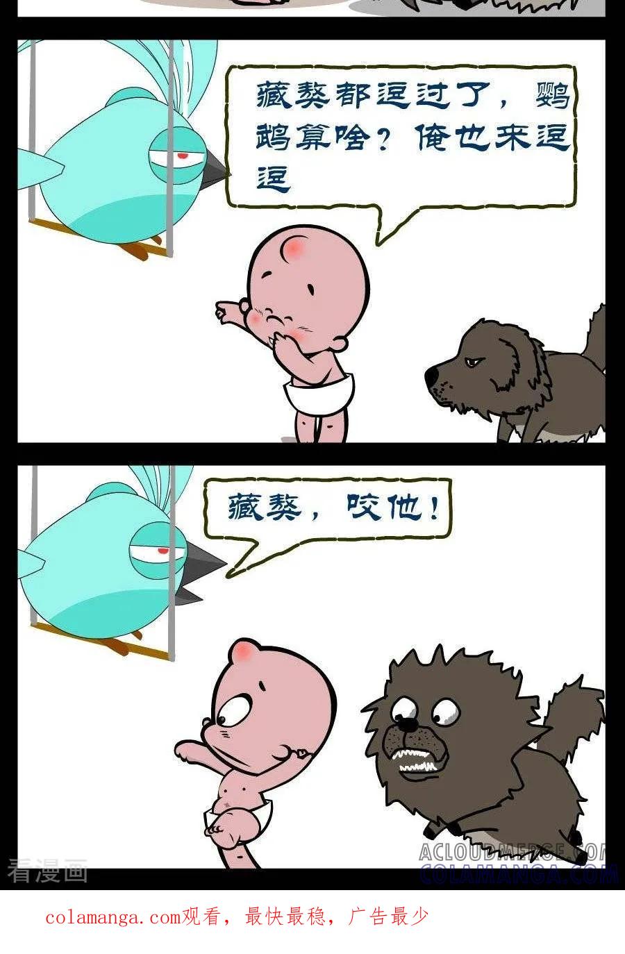 《小破孩傻笑》第327话 鹦鹉和藏獒 第2页