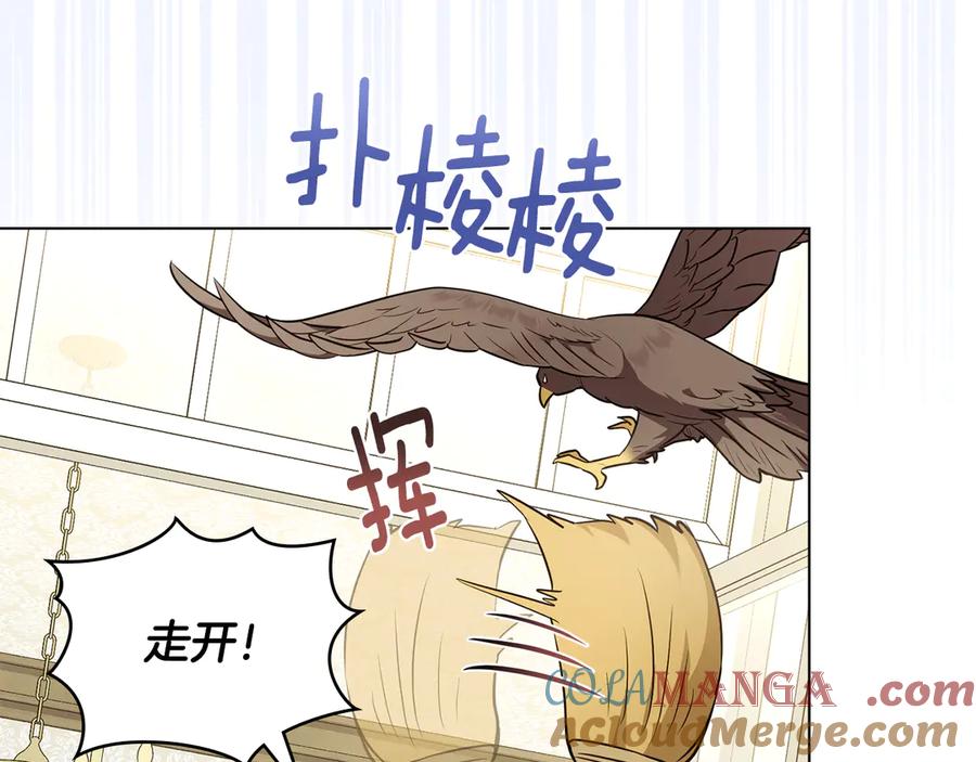 《公爵大人，请别太靠近》特别外传 第1话 鹰的主人 第5页