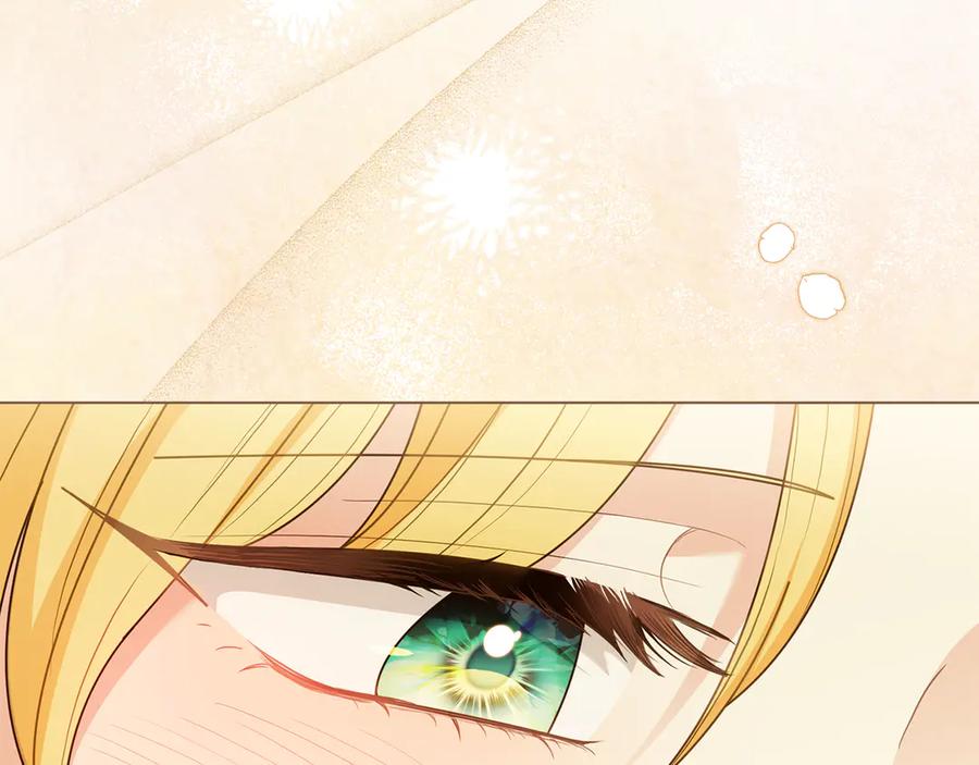 《公爵大人，请别太靠近》特别外传 第1话 鹰的主人 第87页