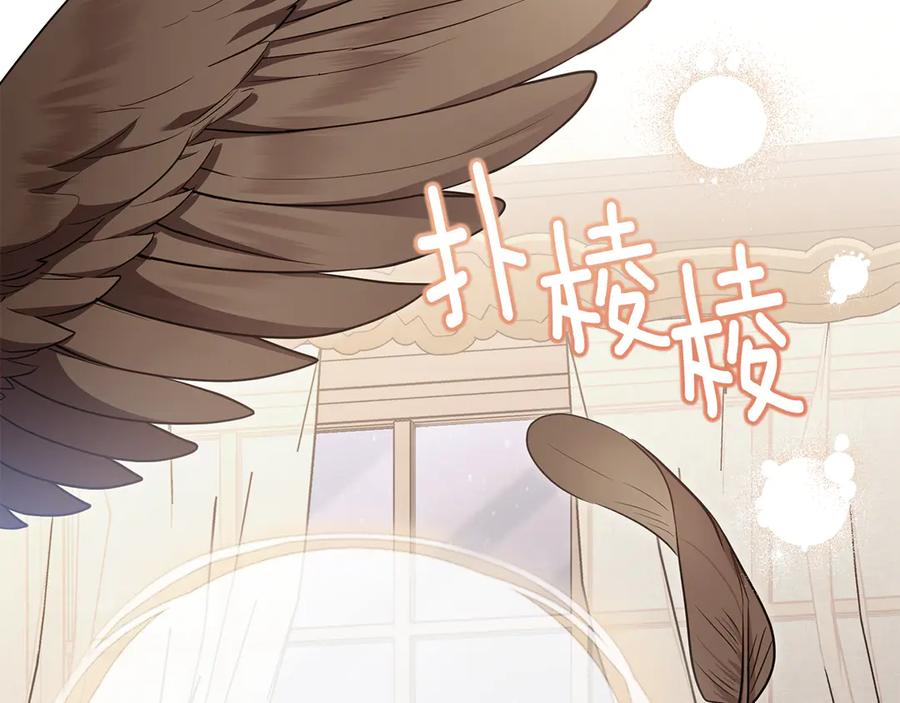 《公爵大人，请别太靠近》特别外传 第1话 鹰的主人 第99页