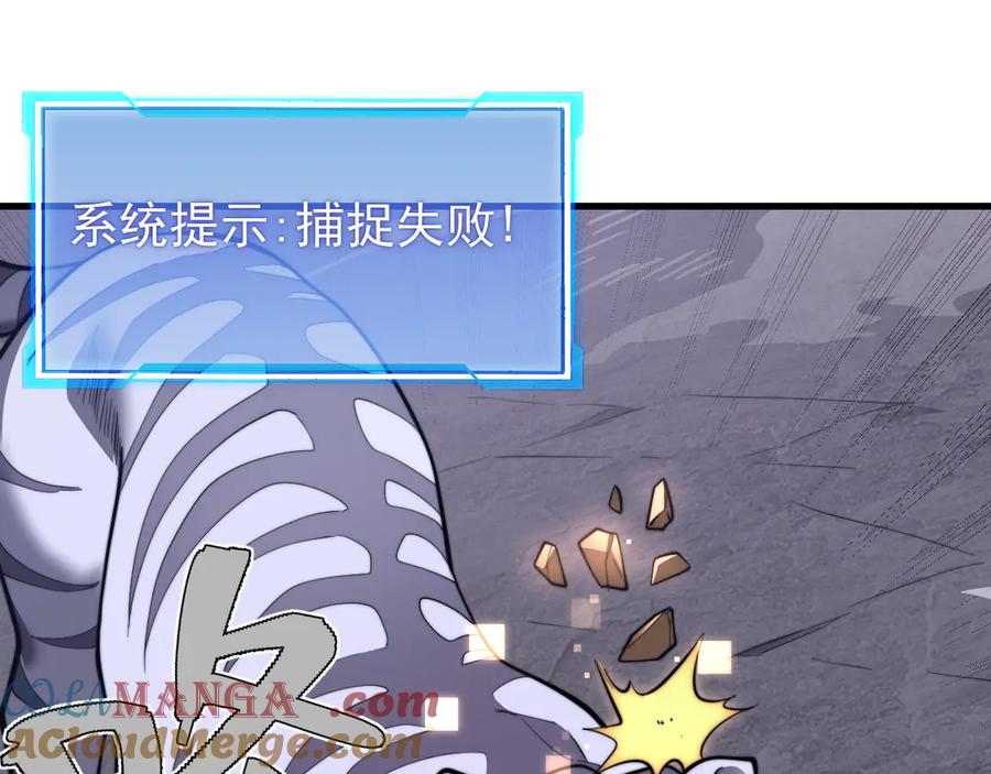 网游：因为太浪，我成了全服公敌！ 第98话 宠物捕捉 第109页