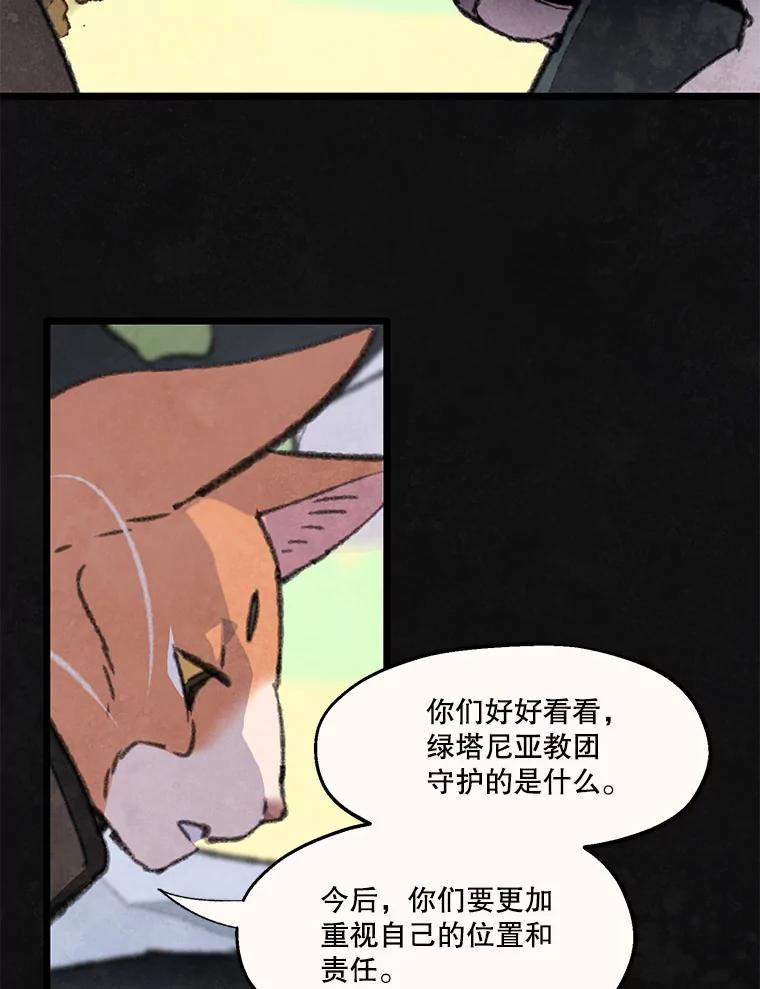《在流星坠落之处等待》88.那不可能是奇迹（2） 第57页