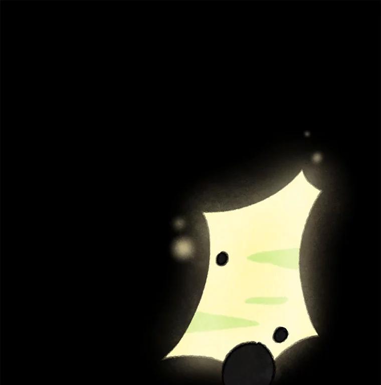 《在流星坠落之处等待》88.那不可能是奇迹（2） 第62页