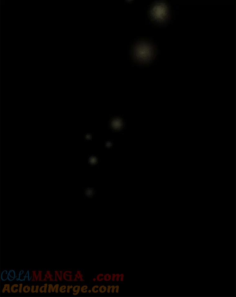 《在流星坠落之处等待》88.那不可能是奇迹（2） 第73页