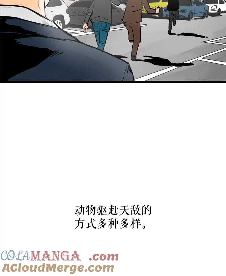 《神圣的离婚》39.悲剧（5） 第105页