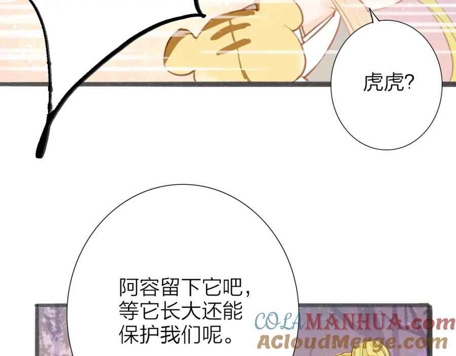 《人面桃花两相宜》第54话 这只老虎有问题 第16页