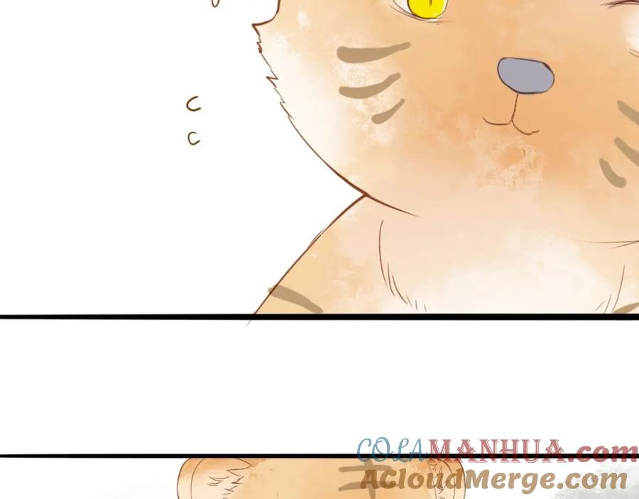 《人面桃花两相宜》第54话 这只老虎有问题 第7页