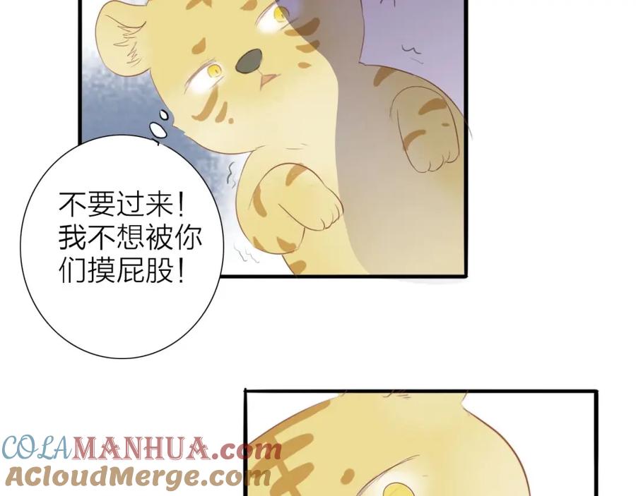 《人面桃花两相宜》虎虎小剧场 第11页