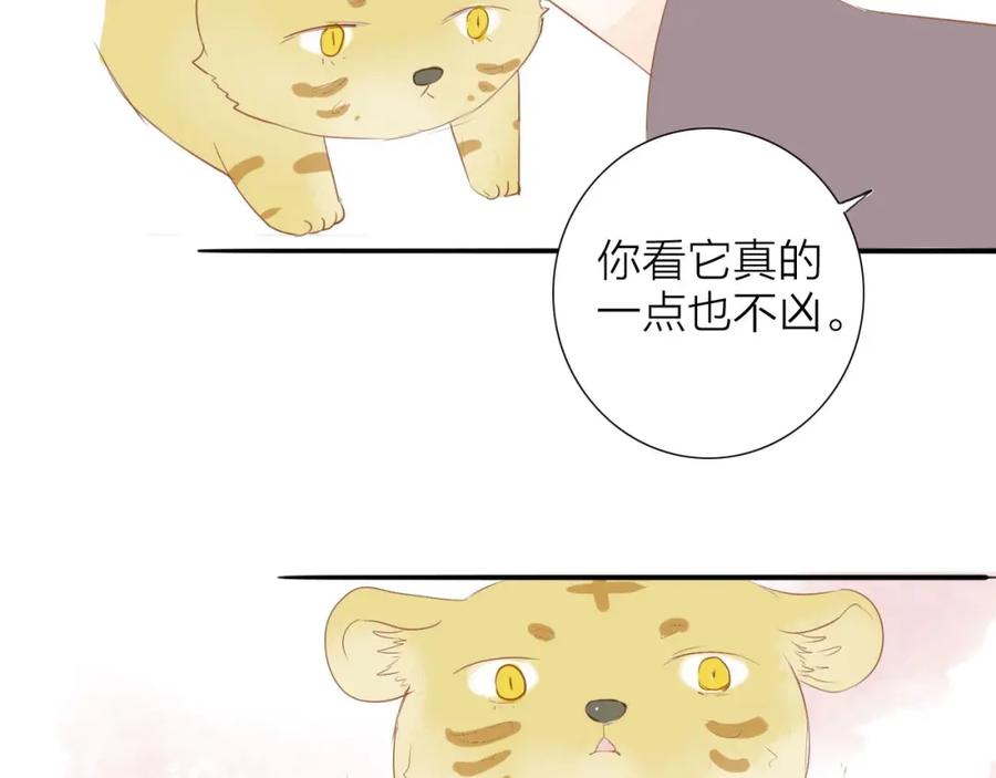 《人面桃花两相宜》虎虎小剧场 第6页