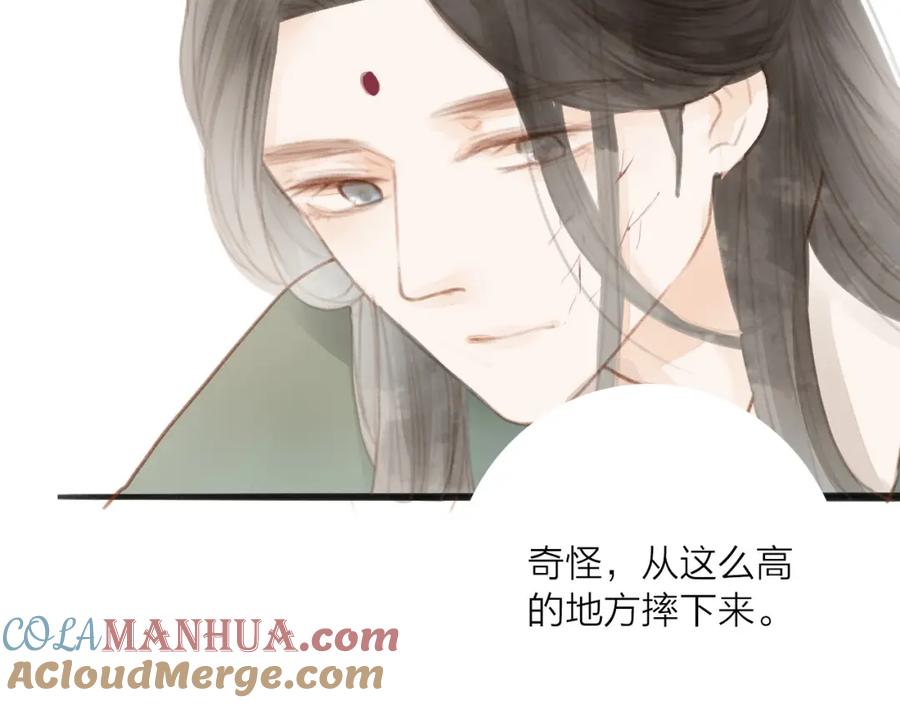 《人面桃花两相宜》第57话 坠崖 第46页