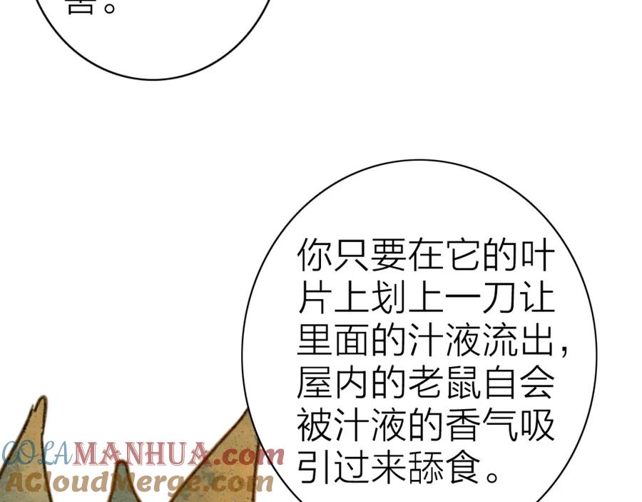 《人面桃花两相宜》第76话 似有佳人入梦来 第55页