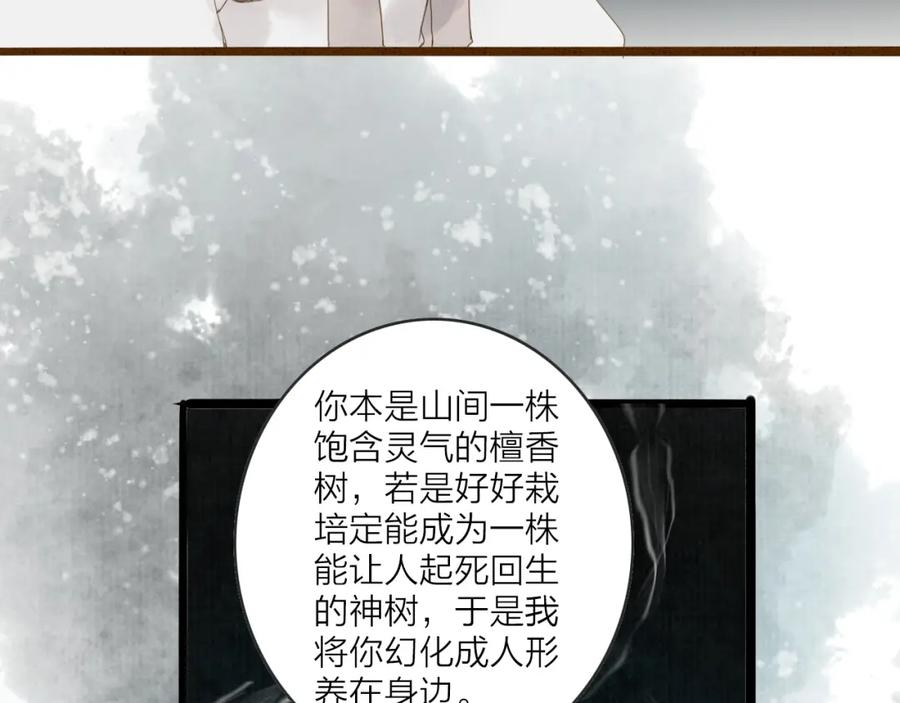《人面桃花两相宜》第77话 道长的心结 第95页