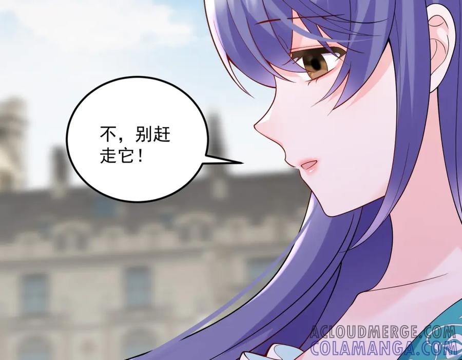 《我的三个大佬哥哥》第7话 圆桌会 第13页