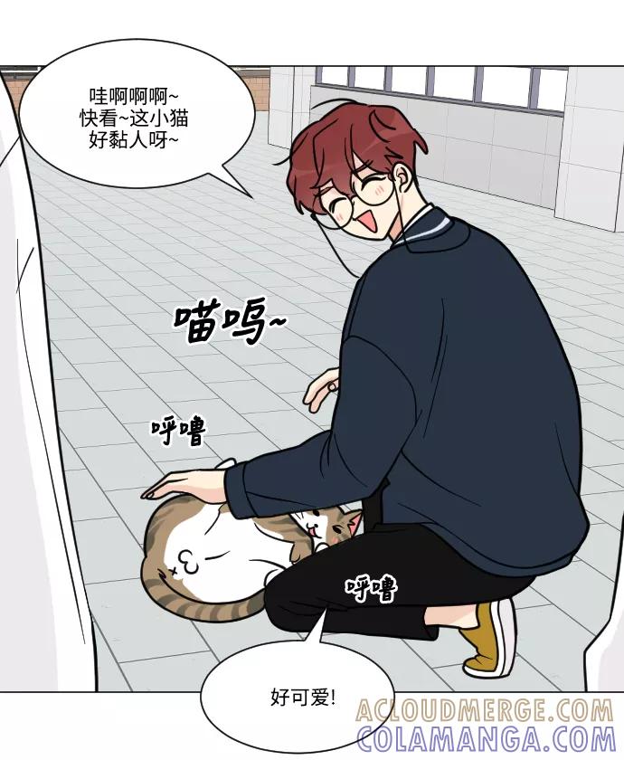 《人气角色MBTI性格大公开》[第2篇]180少女 第5页