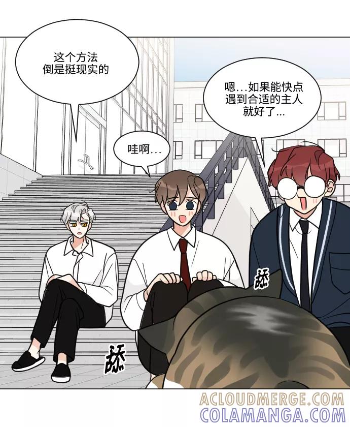《人气角色MBTI性格大公开》[第2篇]180少女 第15页
