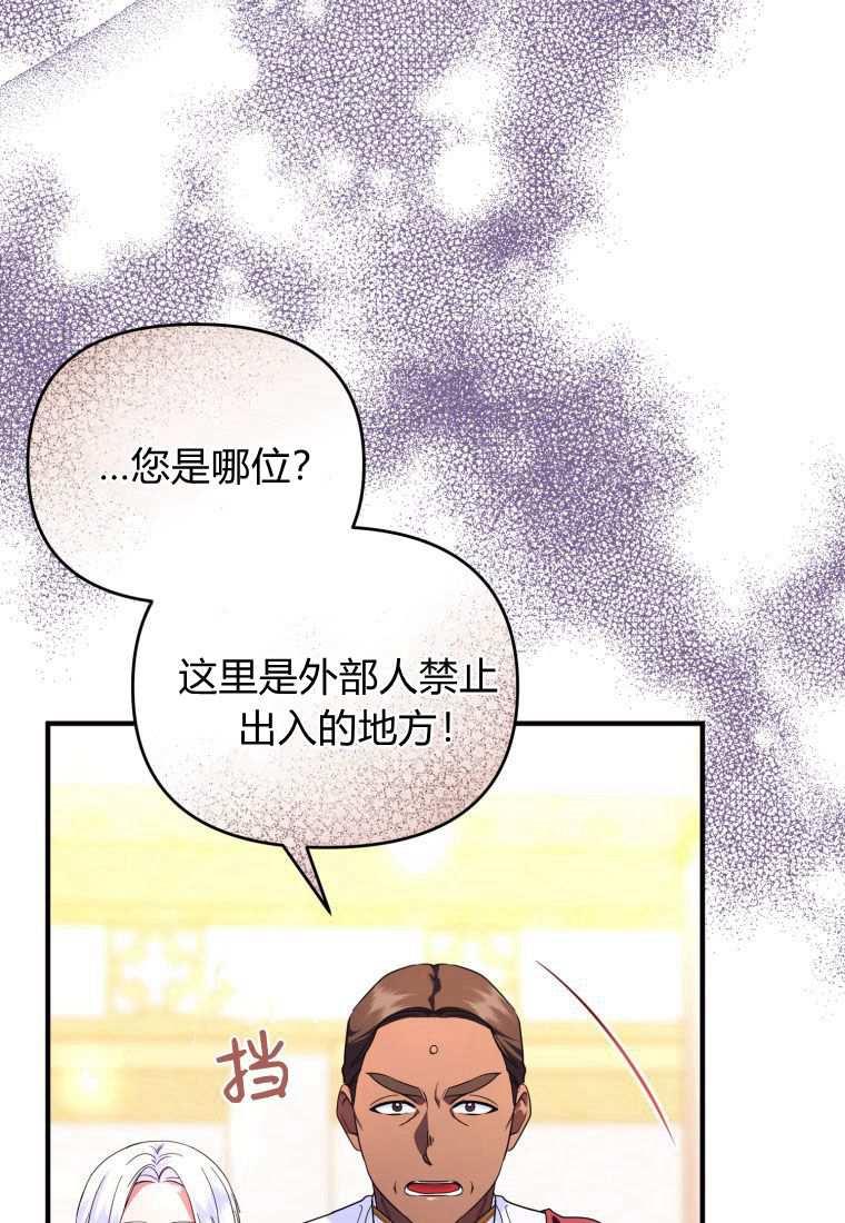 成为苏尔坦珍爱的猫咪 第44话 第40页