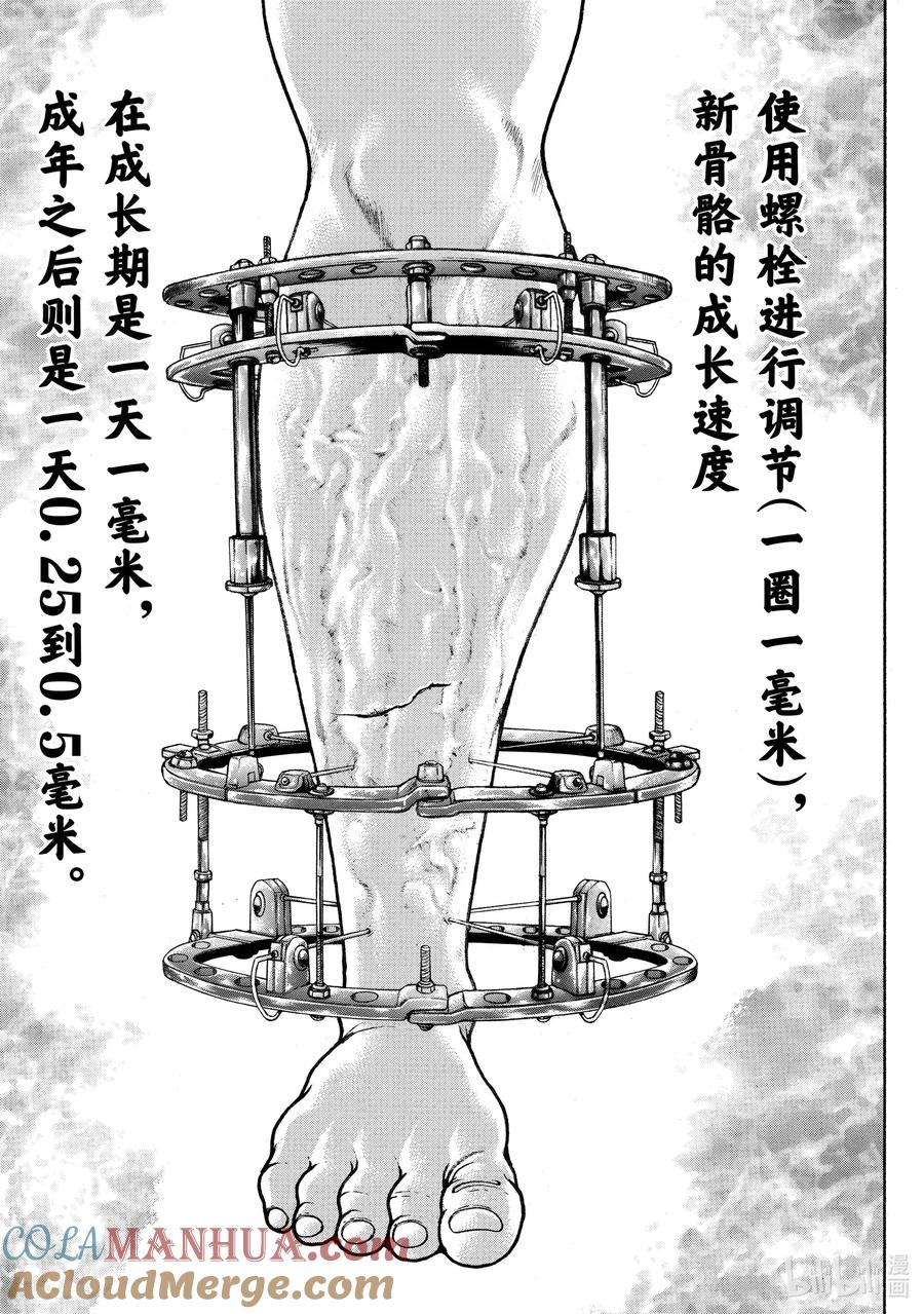 刃牙Ⅱ 116 成为强者的执念 第17页